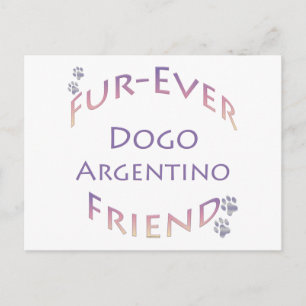 Dogo Argentino Furever Postkarte
