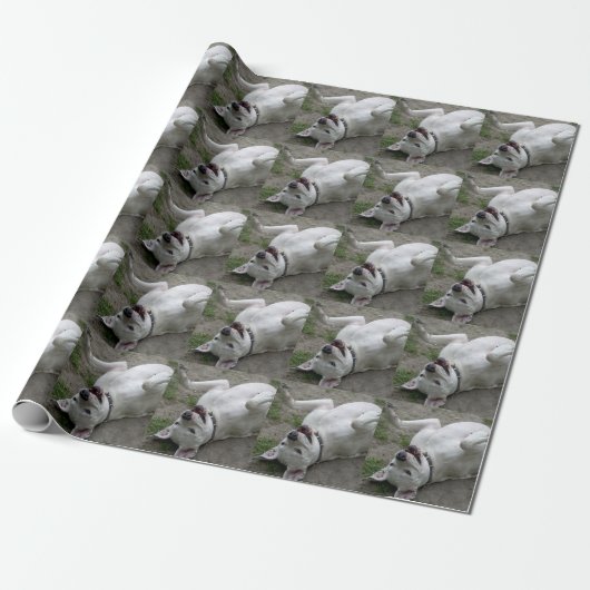 Dogo Argentino Geschenkpapier (Ungerollt)