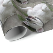 Dogo Argentino Geschenkpapier (Rolleneckpunkt)