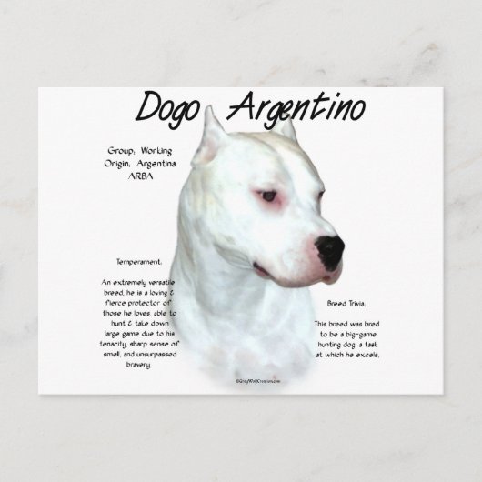 Dogo Argentino Geschichtsdesign Postkarte (Vorderseite)