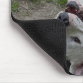 Dogo Argentino Mousepad (Ecke)