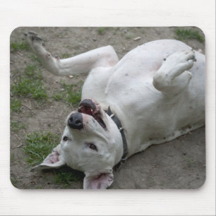 Dogo Argentino Mousepad