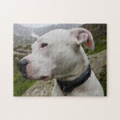 Dogo argentino puzzle (Horizontal)