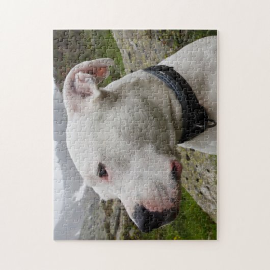 Dogo argentino puzzle (Vertikal)