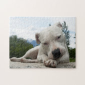 Dogo Argentino Puzzle (Horizontal)