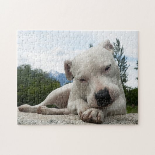 Dogo Argentino  Puzzle (Horizontal)