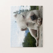 Dogo Argentino  Puzzle (Vertikal)