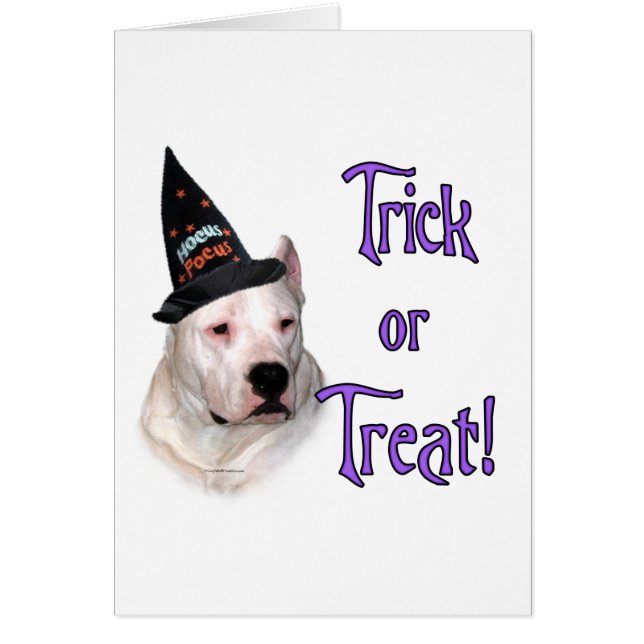 Dogo Argentino Trick (Vorne)