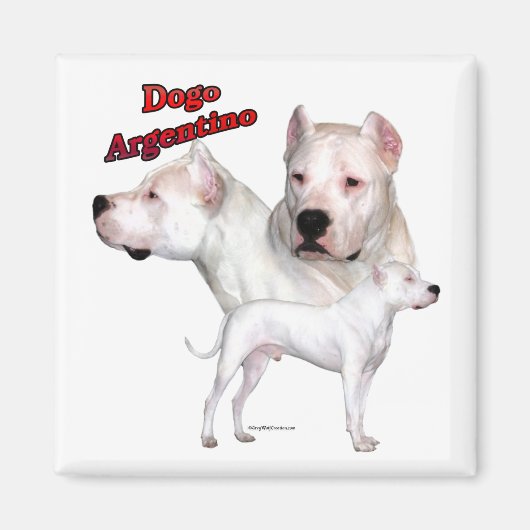 Dogo Argentino Trio 2 - Magnet (Vorne)