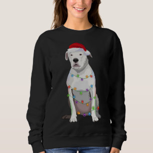 Dogo Argentino Weihnachtslicht Weihnachten Weihnac Sweatshirt