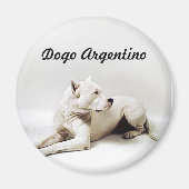 Dogo, Dogo Argentino Magnet (Vorne)