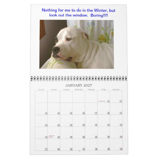 Dogo Kalender (Jan 2027)