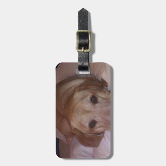 Dogonit… Gepäckanhänger (Vorderseite vertikal)