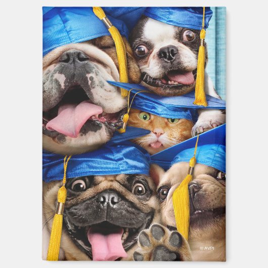 Dogs and Cat Grads in Photo Booth Magnet (Vorderseite)