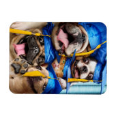 Dogs and Cat Grads in Photo Booth Magnet (Horizontal)