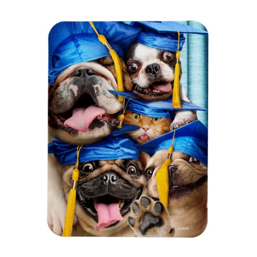 Dogs and Cat Grads in Photo Booth Magnet (Vertikal)