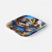 Dogs and Cat Grads in Photo Booth Pappteller (Gewinkelt)