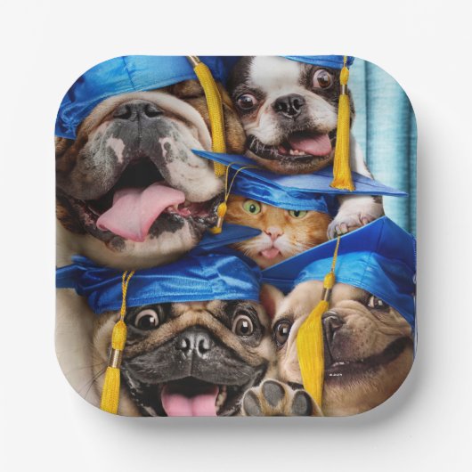 Dogs and Cat Grads in Photo Booth Pappteller (Vorderseite)