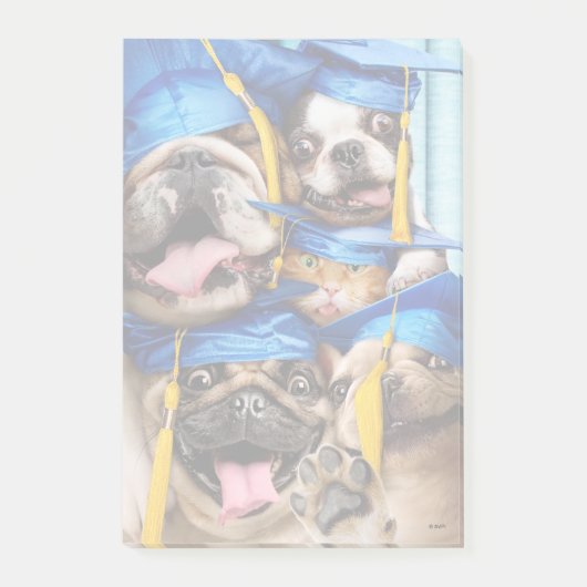 Dogs and Cat Grads in Photo Booth Post-it Klebezettel (Vorderseite)