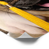 Dogs and Cat Grads in Photo Booth Poster (Ecke)