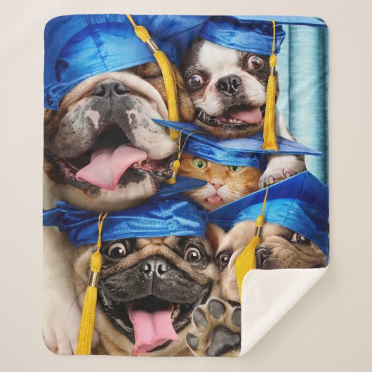 Dogs and Cat Grads in Photo Booth Sherpadecke (Vorderseite)