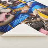 Dogs and Cat Grads in Photo Booth Sherpadecke (3/4)