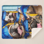 Dogs and Cat Grads in Photo Booth Sherpadecke (Vorderseite (Horizontal))