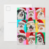 Dogs and Cats with Santa Beard Einladungspostkarte (Vorne/Hinten)
