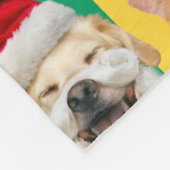 Dogs and Cats with Santa Beard Fleecedecke (Ecke)