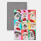 Dogs and Cats with Santa Beard Magnet (Vorderseite/Rückseite)