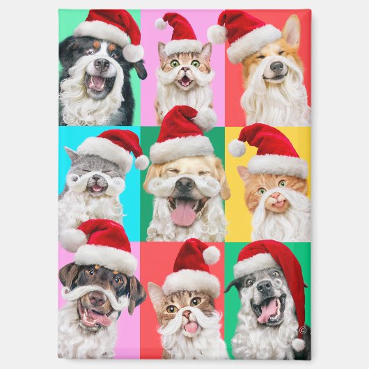 Dogs and Cats with Santa Beard Magnet (Vorderseite)