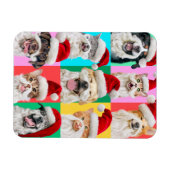 Dogs and Cats with Santa Beard Magnet (Horizontal)
