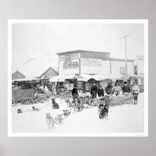 Dogs Carrying Food Alaska 1924 Poster (Vorne)