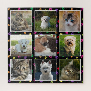 Dogs Cats Colorful Paw Prints PET Fotos Schwierigk Puzzle