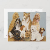 Dogs Dinner Postkarte (Vorne/Hinten)
