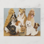 Dogs Dinner Postkarte (Vorderseite)