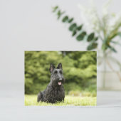 Dogs Postkarte (Stehend Vorderseite)