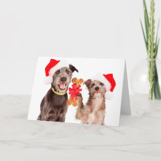 Dogs Sharing HOWLiday cheer Christmas Card Feiertagskarte