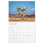 Dogtopie - Dosierungskalender Kalender (Mär 2027)