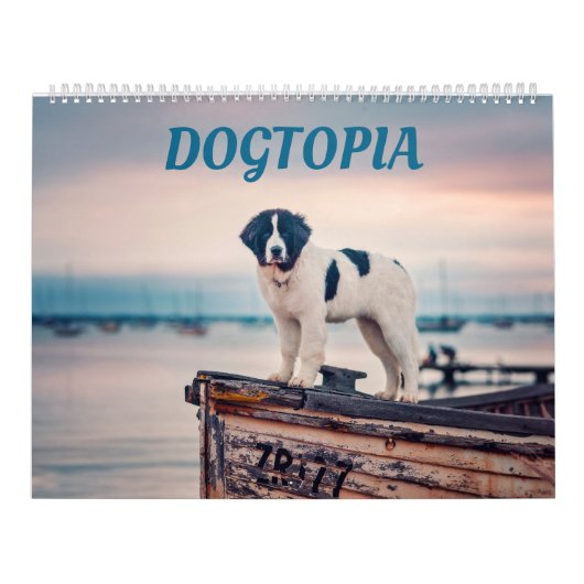 Dogtopie - Dosierungskalender Kalender (Titelbild)