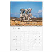 Dogtopie - Dosierungskalender Kalender (Mär 2026)