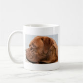 dogue-de-bordeaux-2.png kaffeetasse (Links)