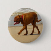 Dogue de bordeaux button (Vorderseite)