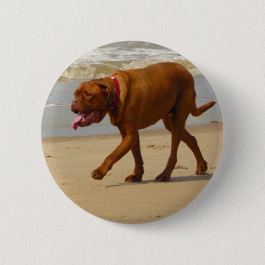 Dogue de bordeaux button (Vorderseite)