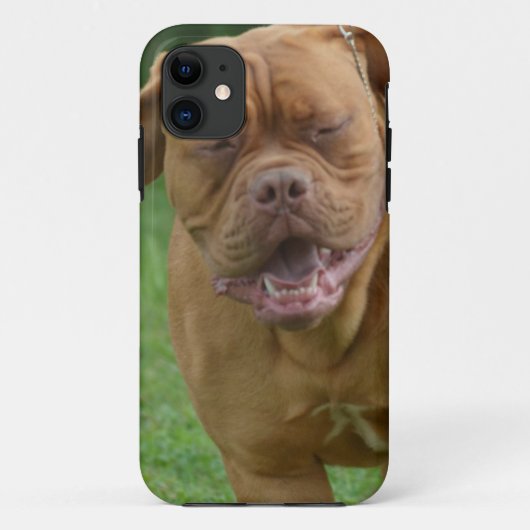 Dogue de Bordeaux Case-Mate iPhone Hülle (Rückseite)