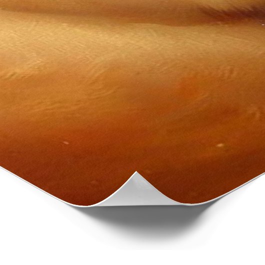 Dogue de Bordeaux Dog Poster (Ecke)