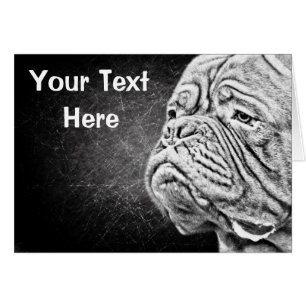 Dogue De Bordeaux, französischer Mastiff