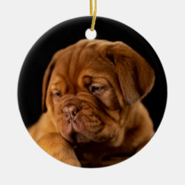 Dogue de Bordeaux, französischer Mastiff Keramik Ornament