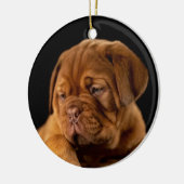 Dogue de Bordeaux, französischer Mastiff Keramik Ornament (Links)