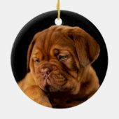 Dogue de Bordeaux, französischer Mastiff Keramik Ornament (Hinten)